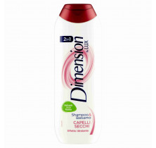 CHAMPÚ CABELLO SECO DIMENSIÓN 250 ML