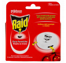 INSECT. ANT BAIT RAID