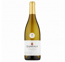 WHITE WINE CHARDONNAY SICILY DOC RAPITALA' 75 CL