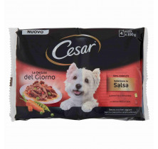 DOG FOOD DELICIOUS SELECTION CESAR SAUCE 100 GR...