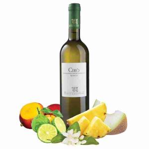 WHITE WINE CIRO' DOC IUZZOLINI TENUTA 75 CL