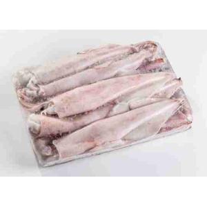 TINTENFISCH 3-6 SAMEN-BLOCK (pro kg)