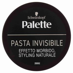 HAIR PASTE INVISIBLE PALETTE 100 ML