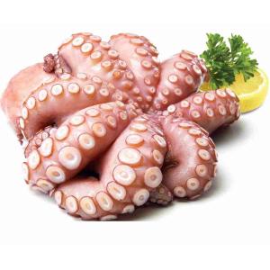 BABY OCTOPUS 10/20 1 KG BEUTEL