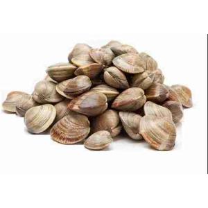 COOKED BROWN CLAMS 60/80 1 KG