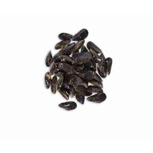 WHOLE COOKED MUSSEL C/G FROZEN 1 KG