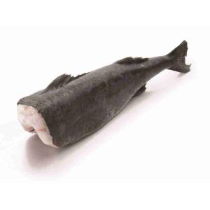 CARBONARO DELL'ALASKA BLACK COD GINDARA (al kg)