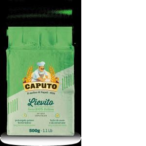 CAPUTO AKTIVE TROCKENHEFE 500 GR