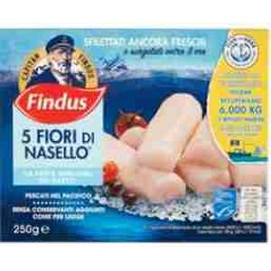 FINDUS HAKE FLOWERS 250 GR x 5