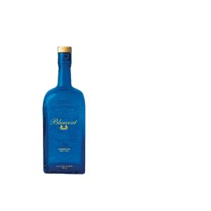 GIN BLUECOAT 70 CL