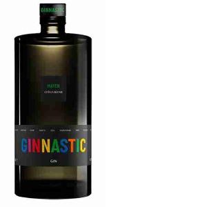 GINEBRA GINNASTIC MATCH MEZCLA DE CÍTRICOS 700 ML