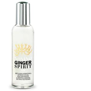 GINGERSPIRIT TWIST NONINO 100 ML