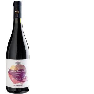 RED WINE TERRA BENVENUTO 75 CL