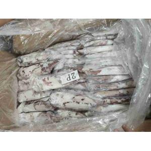 TINTENFISCH 2 P 200/300 gefroren IWP (pro kg)