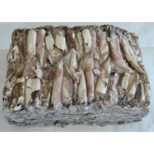 CALAMARO C4L (pro kg)