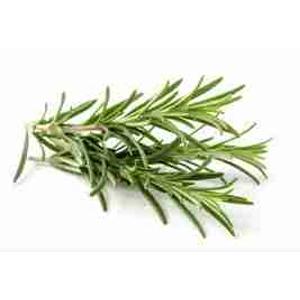 ROSEMARY TORNESE 30 GR