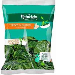 NATURIZIA CHICORY 400 GR