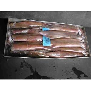 TINTENFISCH M SCHOKOLADE /29 (pro kg)