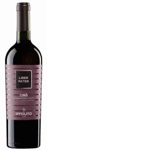 RED WINE CIRO' CLASS. LIBER PATER IPPOLITO 1845 7