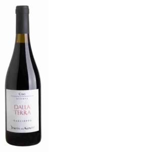 RED WINE CIRO RISERVA FROM THE LAND TENUTA DEL CON
