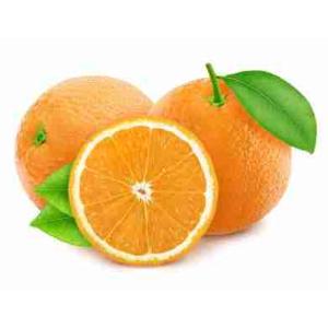 LATE LANE ORANGES (per kg)