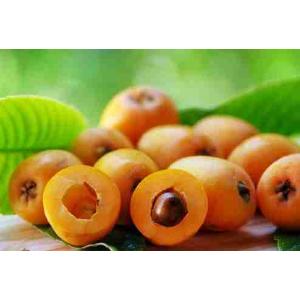 NESPOLE I PROV.SPAGNA (al kg)