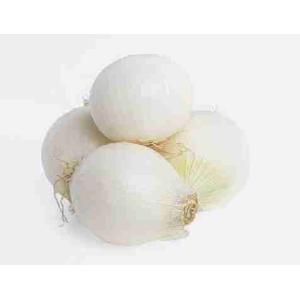 WHITE ONION (per kg)