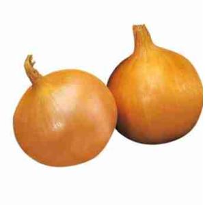 GOLDEN ONION (per kg)