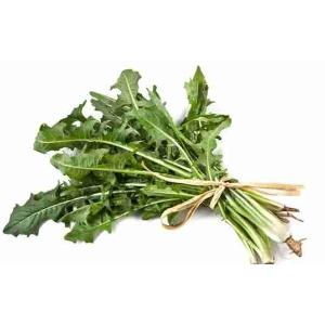 CHICORY (per kg)