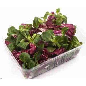 CHIOGGIA AND SONGINO TORNESE SALAD 120 GR