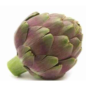 SINGLE ARTICHOKE