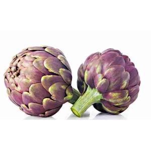 ROMAN ARTICHOKE