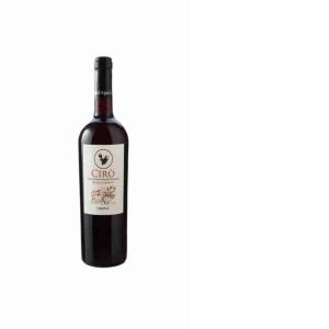 CIRO' GEMME 2021 DELL'AQUILA SALVATOR 7 VIN ROUGE