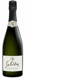 FRANCIACORTA BRUT AZ.AGR.SOLOUVA 75 CL