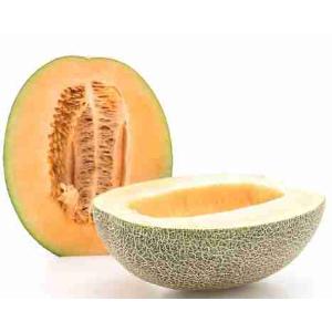 MELONE CANTALUPO II (al kg)