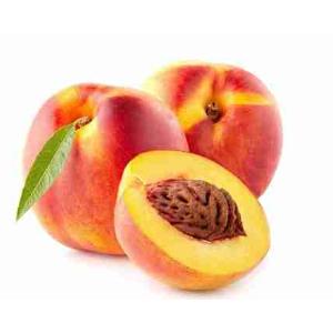 PESCA ROSSA PROV.SPAGNA CAT.I (al kg)