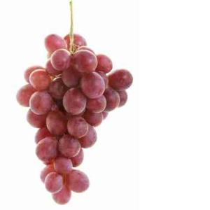 UVA GLOBE ROUGE (al kg)