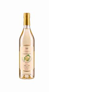 LIKÖR SATHENAY HOLUNDERBLUME 700 ML