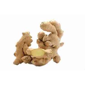 GINGER ORSERO 250 GR