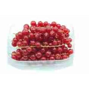 CURRANT TRAY 125 GR