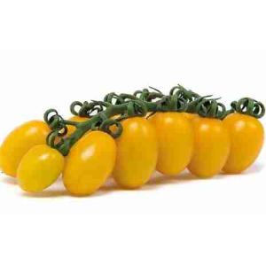 POMODORO DATTERINO GIALLO VASCHETTA