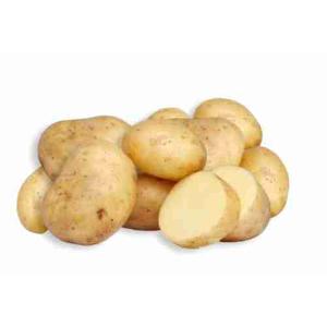 PÂTES DE POMMES DE TERRE G.3KG PROV.ITALIA CAT...