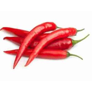 HOT CHILLI PEPPERS PER KG (per kg)