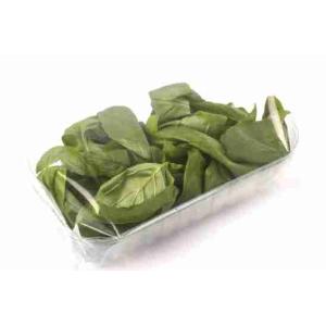 BASIL TORNESE 500 GR