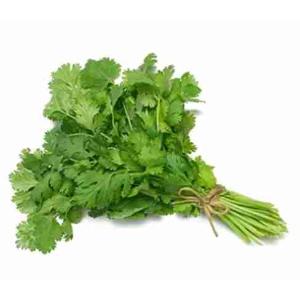 CORIANDER TORNESE 30 GR