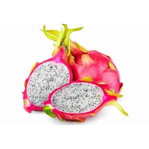 DRAGON FRUIT