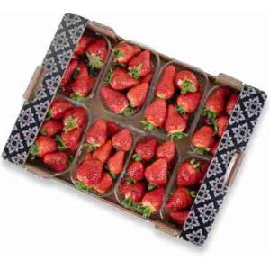 FRESAS CAJA 8 UNIDADES