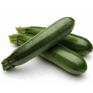 COURGETTES VERTES (le kg)