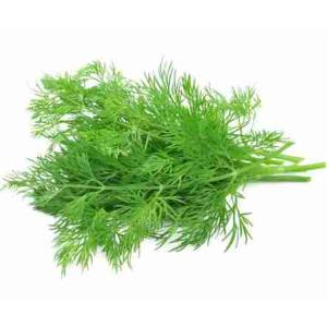 WILD FENNEL TORNESE 30 GR