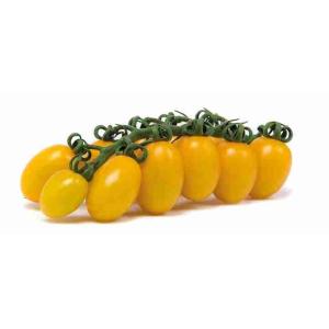 YELLOW DATTERINO TOMATO (per kg)